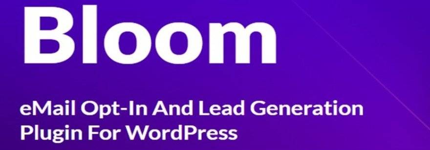 Bloom wordpress opt in newsletter